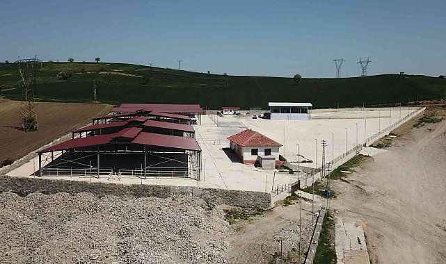 Havza Kapalı Canlı Hayvan Pazarı yarın hizmete girecek