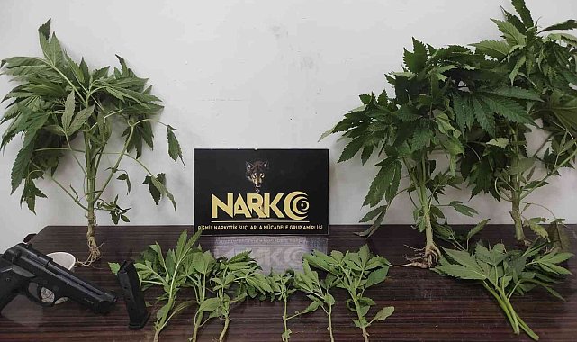 Huzur uygulamasında çok sayıda silah ve uyuşturucu ele geçirildi: 21 gözaltı