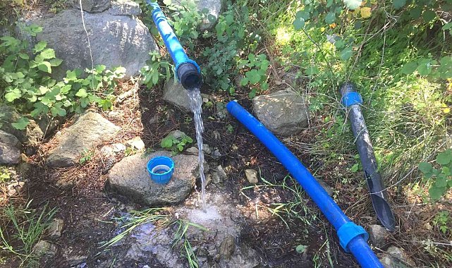 İçme suyu hattından 5 metrelik ağaç kökü çıktı