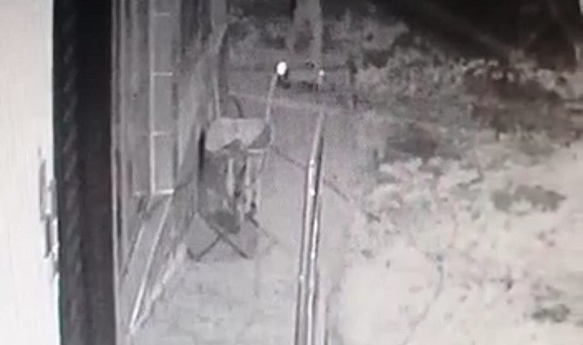 Iğdır'da 'silahlı hırsızlık girişimi' güvenlik kamerasına yansıdı