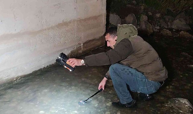 İnci kefalinin muhteşem gece yolculuğu devam ediyor