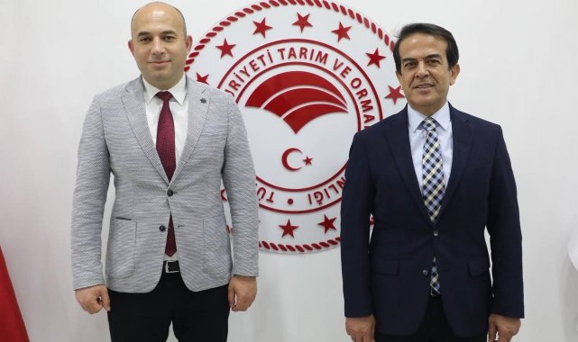 İnteraktif Çilek E- Çalıştayı kitap oldu