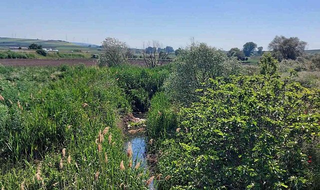 İSKİ yalanlamıştı, Kınıklı Deresi&#039;ne akan pis sular böyle görüntülendi
