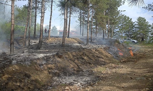 İskilip'te orman yangını