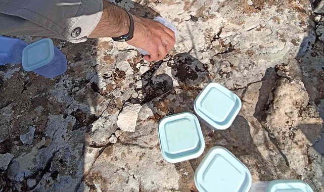 İzinsiz akrep toplayan şahıslara yüklü miktarda ceza