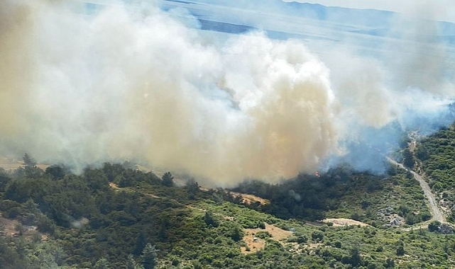 İzmir'de iki ilçede orman yangını