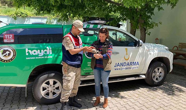 Jandarma&#039;dan kuş şefkati