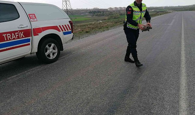 Jandarmadan kaplumbağaya yardım eli