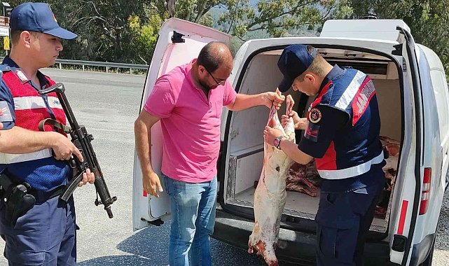 Kaçak kesim havyan eti yakalandı