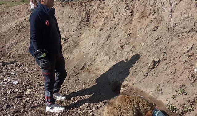 Kafası bidona sıkışan köpek kurtarıldı