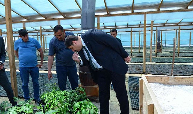 Kahramankazan&#039;da &quot;Ata Tohumu&quot; projesi