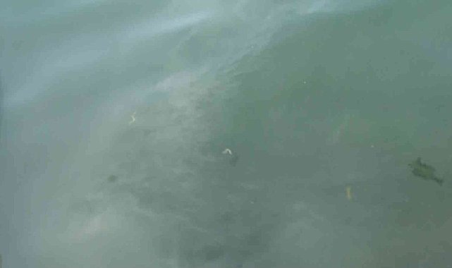 Kanlıca Sahilinde suyun rengi değişti: 'Kanalizasyon borusu patladı' iddiası