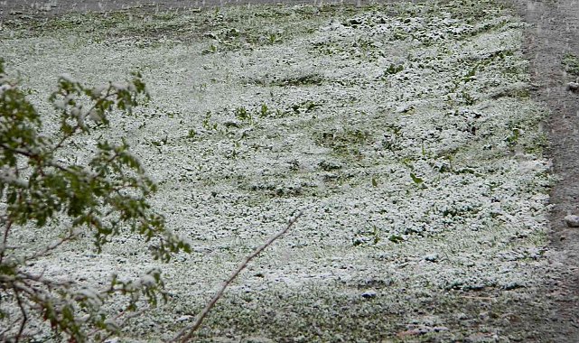 Kar Posof'u beyaza bürüdü