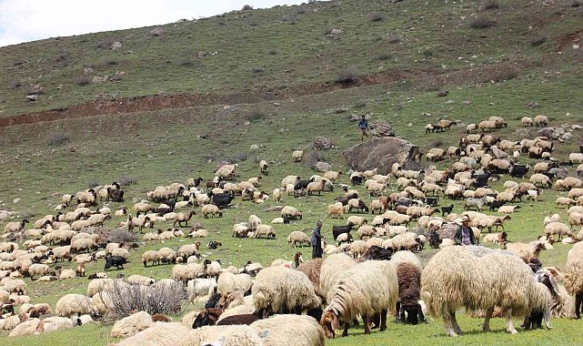 Kar ve tipi nedeniyle mahsur kalan göçerler kurtarıldı