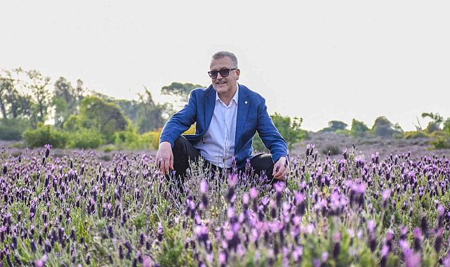 Karacabey'in doğa harikası longoz ormanları ziyaretçilerini bekliyor