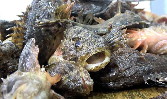 Karadeniz'in 'çarpanı' tezgahta kendini gösterdi