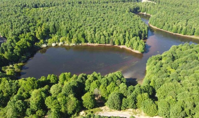 Karalık Yaylası&#039;ndan kartpostallık görüntüler