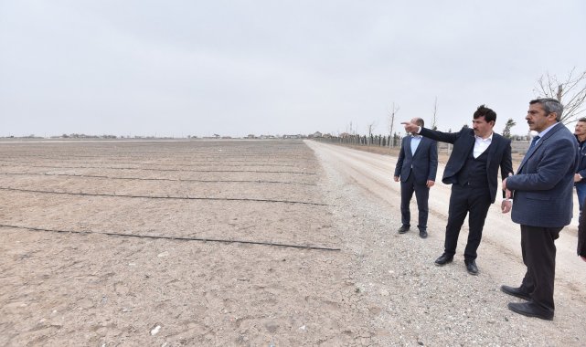 Karatay'daki lavanta bahçeleri 400 bin metrekare büyüklüğe ulaştı