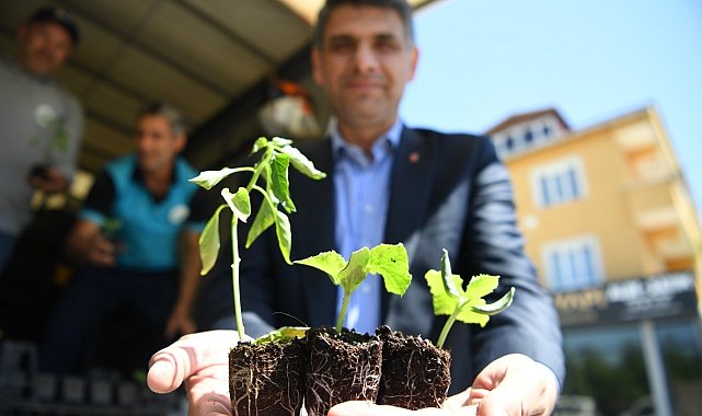 Kartepe'de 123 bin fide toprakla buluştu