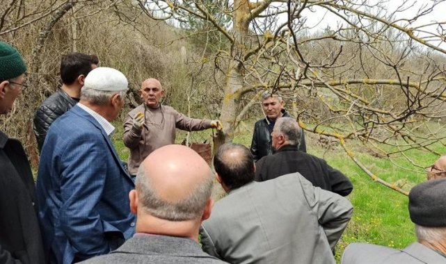 Kastamonu&#039;da üreticilere &#039;meyve ağaçlarında budama ve aşılama&#039; eğitimi verildi