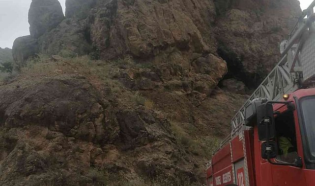 Kayalıklarda mahsur kalan keçiler itfaiye ekipleri tarafından kurtardı