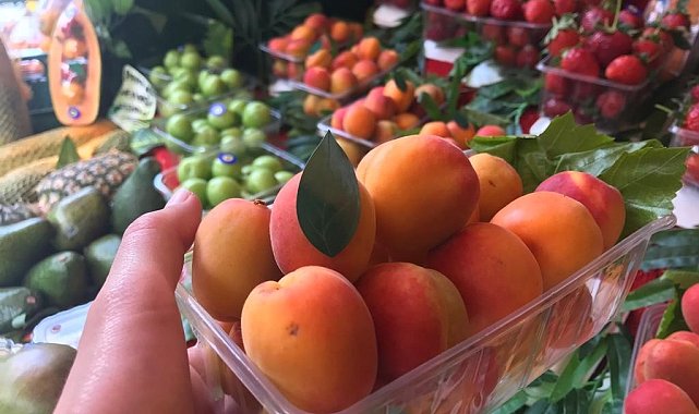 Kayısının kilosu 50 TL'den tezgâhta