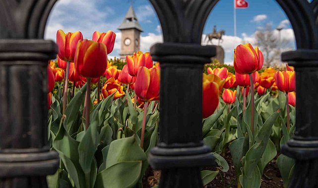 Kayseri'de 1 milyon çiçek toprakla buluşacak