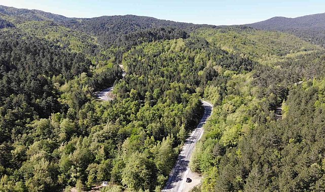 Kazdağları'nda yeşilin bin bir tonu havadan görüntülendi