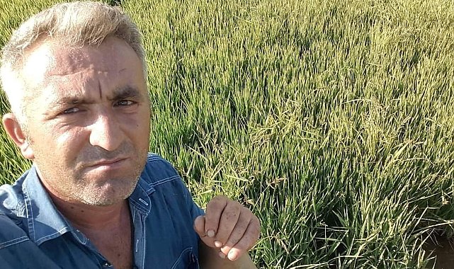 Kestiği ağacın altında can verdi