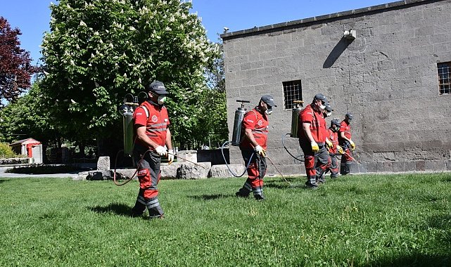 Kocasinan&#039;dan huzurlu bir yaz için haşere ile mücadele