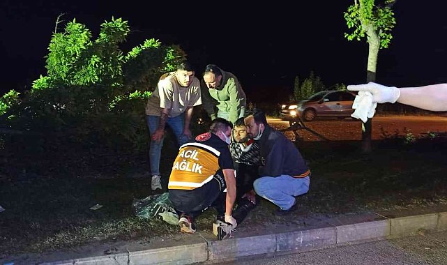 Kontrolden çıkan otomobil ağaç ve direği devirerek durabildi: 1'i ağır 5 yaralı