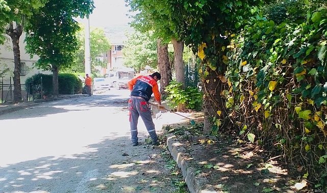 Körfez&#039;de bahar temizliği