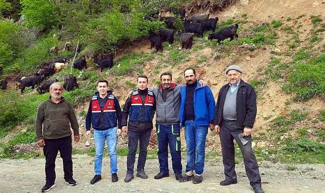 Küçükbaş hayvanları kaybolan yaylacıların imdadına Jandarma yetişti