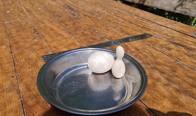 Kümesteki yumurtayı görünce neye uğradığını şaşırdı, hatıra olarak saklıyor