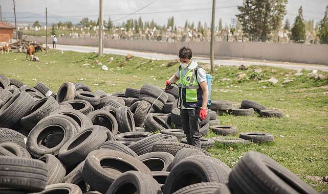 Kütahya&#039;da karasinekle mücadele