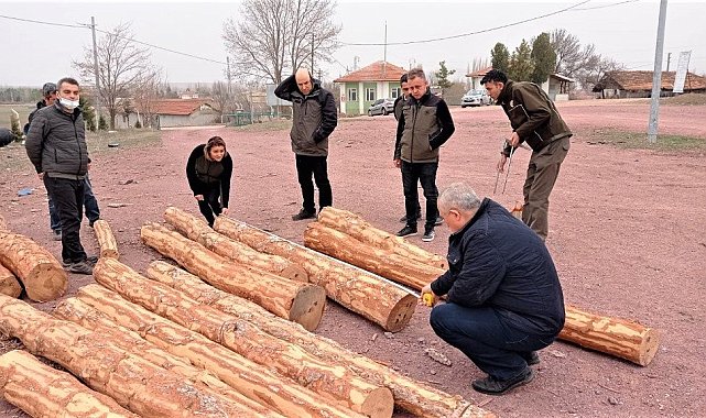 Kütahya&#039;da orman satış depolarında uygulamalı eğitim