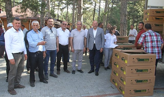 Kuyucak&#039;ta üreticilere binlerce domates fidesi dağıtıldı
