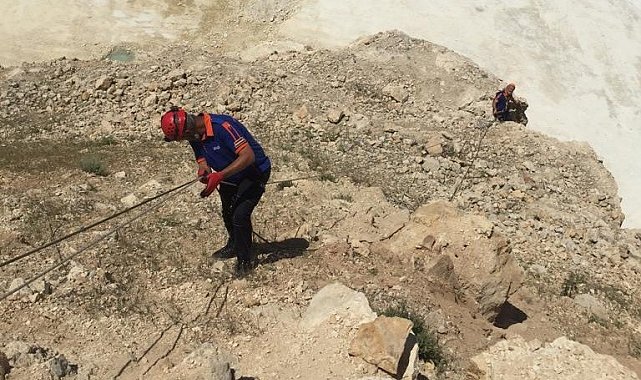 Mahsur kalan yavru dağ keçileri kurtarıldı