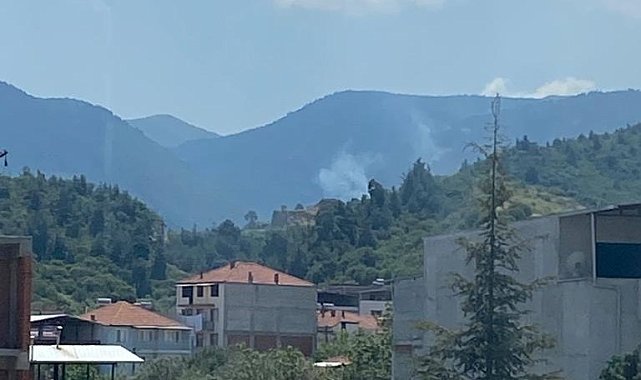 Manisa&#039;da çıkan orman yangınında 1 hektar alan zarar gördü