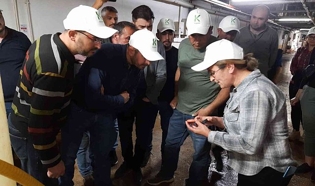 Mantar Üreticisilerine ışıklı tuzak, dezenfektan ve nematod dağıtımı yapıldı