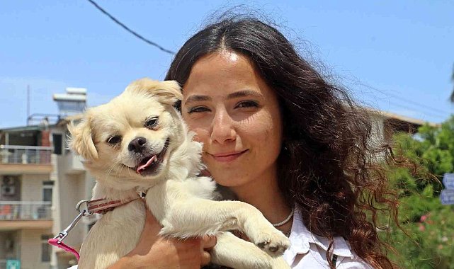 Marketteki köpeğe sebepsiz yere tekme attı, kamera kaydını izleyen genç kadının ağzı açık kaldı
