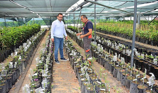 MATSO Başkanı Güngör: "İhracat yapan firmalarımızı destekliyoruz"