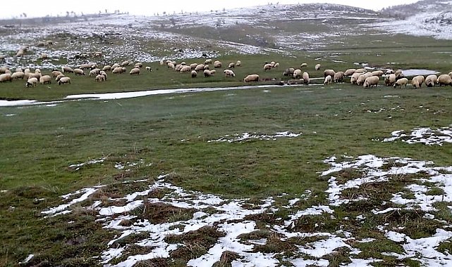 Mayıs ayında kar sürprizi