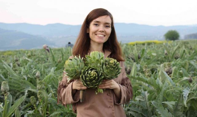 Menderes Çifti, Aydın enginarına değer kattı,
