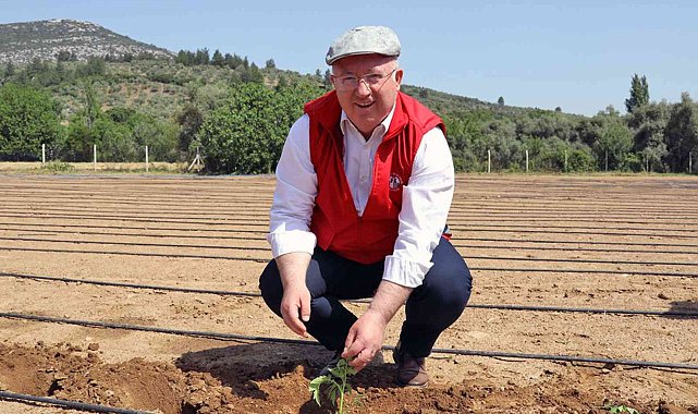 Menteşe'de 25 Bin yerli fidan toprakla buluştu