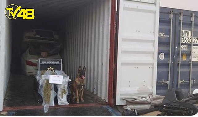 Mersin Limanı'nda konteynerde 5,8 kilo skunk ele geçirildi