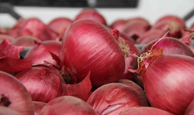 Mersin ve Adana'nın enflasyonu Türkiye enflasyonunu geçti: Yüzde 72,36