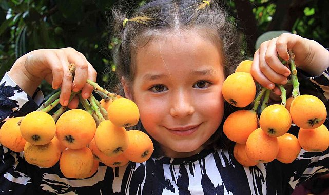 Mersin&#039;in sarı altını yenidünya üreticisini fiyatıyla sevindirdi