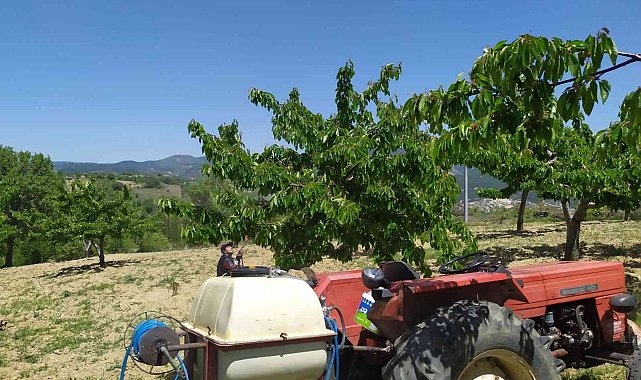 Meyve üreticilerine ilaçlama uyarısı