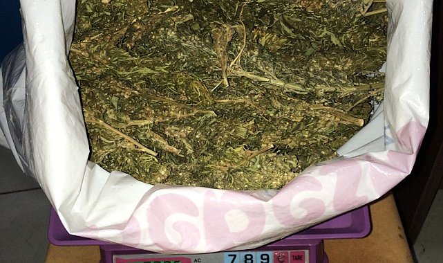 Midyat'ta uyuşturucu satıcısı tutuklandı